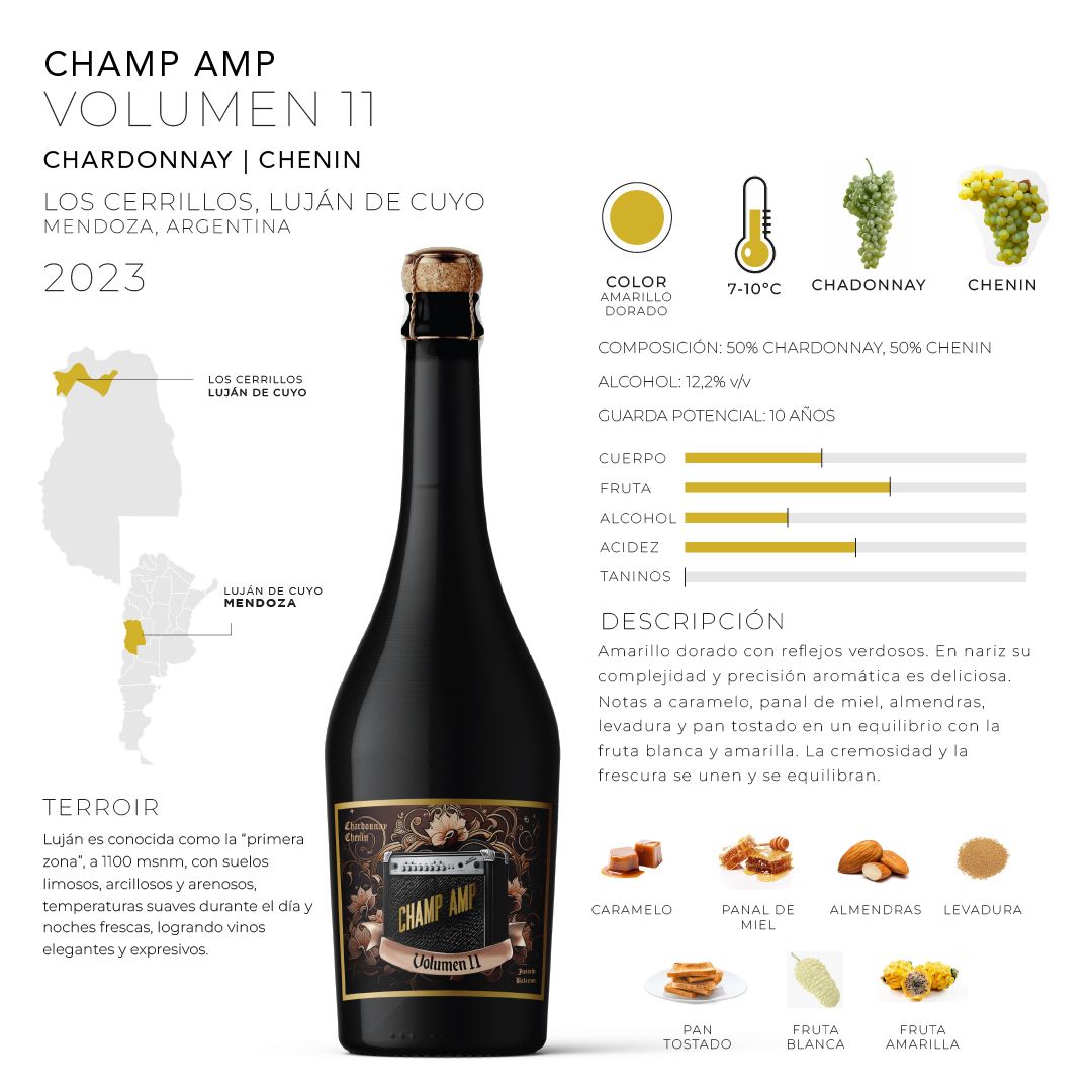 malbecaster--champ-amp-7798352411232-bjspchch23c10